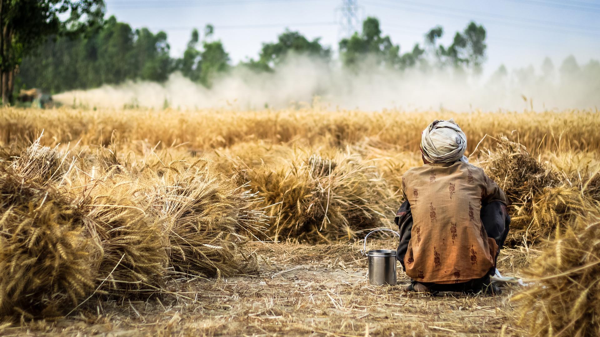 25 per cent of global population will be exposed to hunger in winter