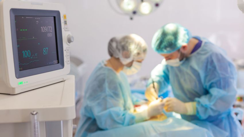 Authorities suspect organ trade in Balkans