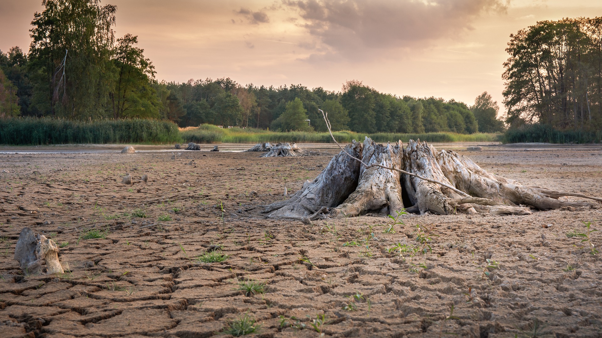 Extreme drought causes major disruption in grains transport by river