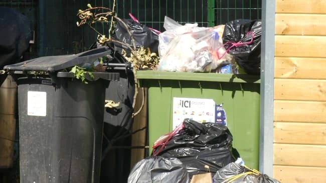 Garbage piles up in Greens-led city due to appalling public security – video