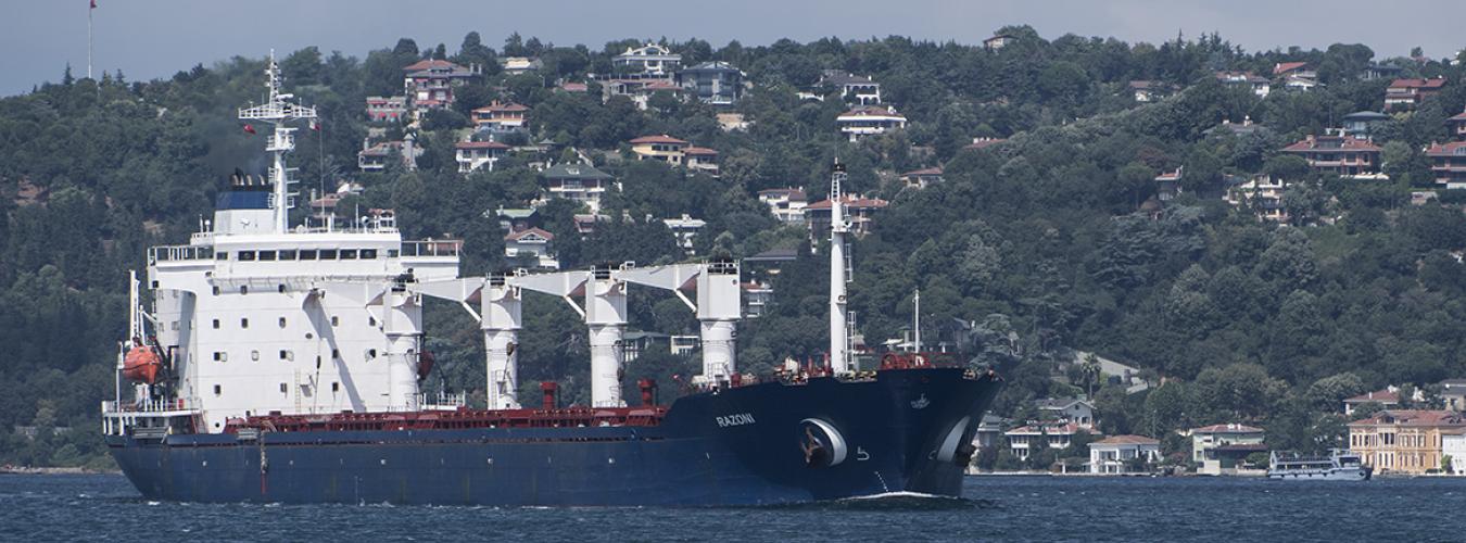 West takes grain from starving Africans