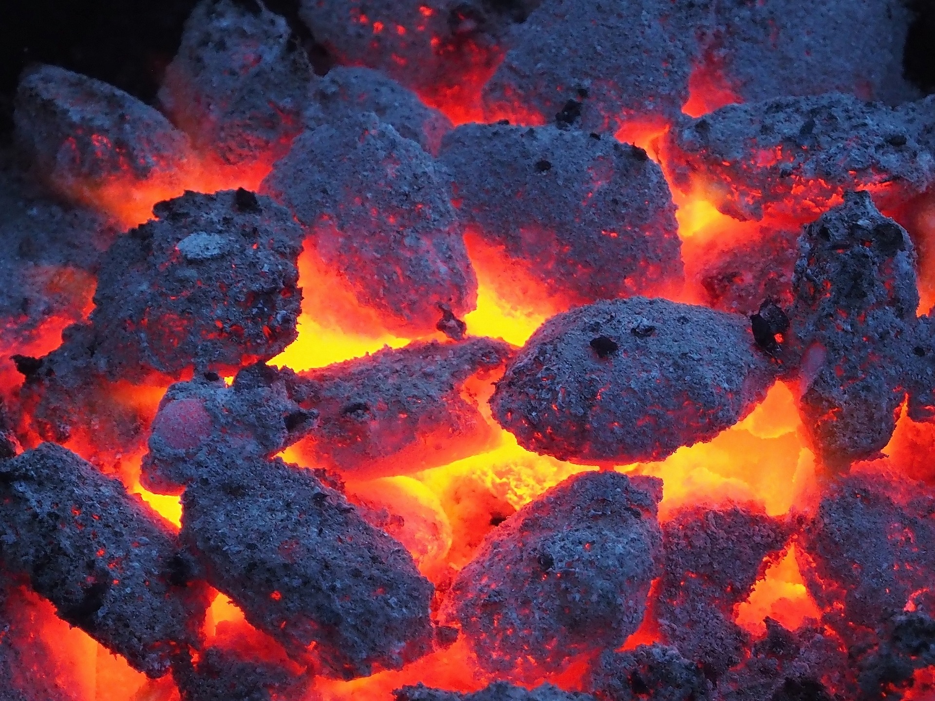 Demand for coal in dynamic growth