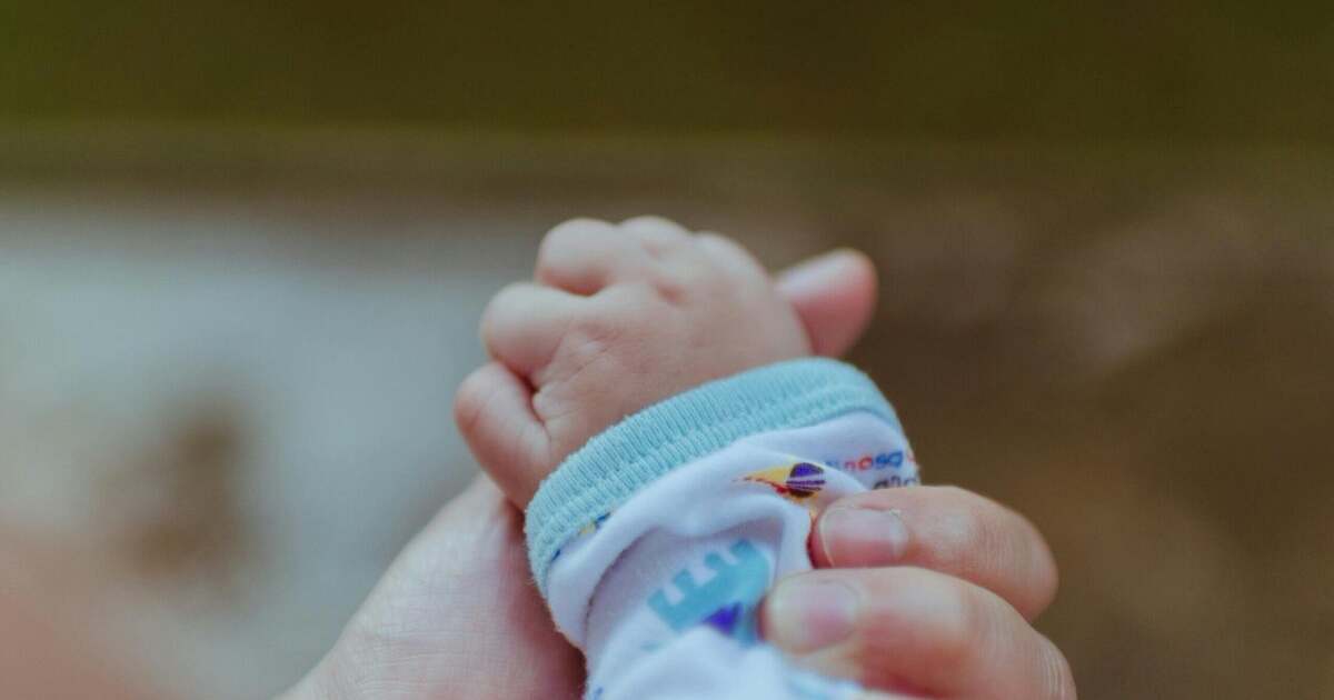 The German government is using public funds to support NGOs that advocate for abortion and LGBTQ organisations.